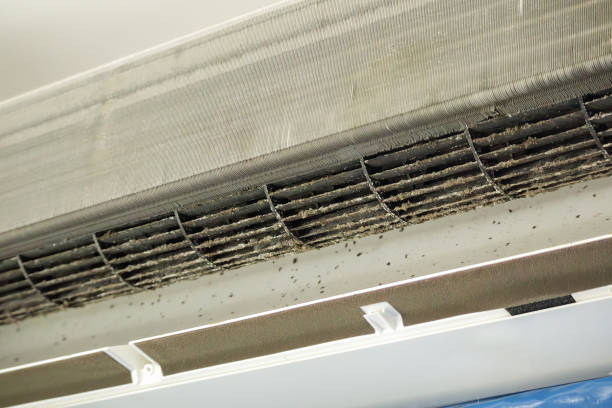 Best Home Air Vent Cleaning  in Midwest City, OK